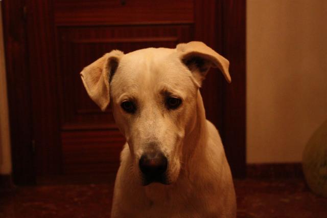Maximiliano 011