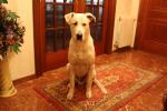 Maximiliano 025