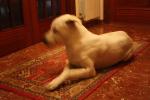 Maximiliano 038